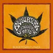 BRANT BJORK & THE LOW  - CD BLACK POWER