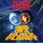  FEAR OF A BLACK PLANET (RE-ISSUE) [VINYL] - suprshop.cz