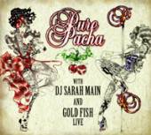 VARIOUS  - 2xCD PURE PACHA 08