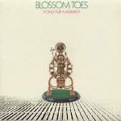 BLOSSOM TOES  - VINYL IF ONLY FOR A ..