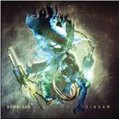 DOWNLOAD  - CD LINGAM