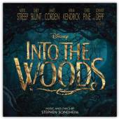  INTO THE WOODS (TAJEMNICE LASU) - supershop.sk