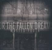 FOR THE FALLEN DREAMS  - CD WASTED YOUTH