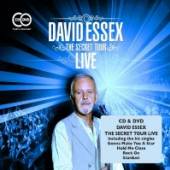 ESSEX DAVID  - CD SECRET TOUR: LIVE