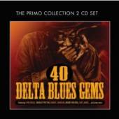  40 DELTA BLUES GEMS / W/ GUS CANNON, BO CARTER, CHARLEY PATTON, KID BAILEY - suprshop.cz