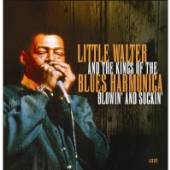  LITTLE WALTER & KING OF.. - suprshop.cz