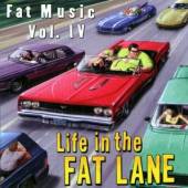 VARIOUS  - CD LIFE IN THE FAT LANE: