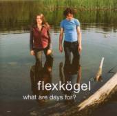 FLEXKOEGEL  - CD WHAT ARE DAYS FOR?