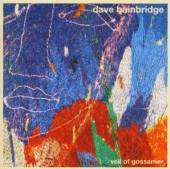 BAINBRIDGE DAVE  - CD VEIL OF GOSSAMER