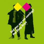  DID YOU SEE ME 2TR. (CD SINGLE) - supershop.sk