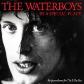 WATERBOYS  - CD IN A SPECIAL PLACE