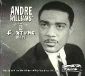 WILLIAMS ANDRE  - 2xCD FORTUNE OF HITS