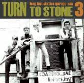 VARIOUS  - VINYL TURN TO STONE V.3 [VINYL]