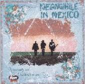 MEANWHILE IN MEXICO  - CD ROSENCRANTZ AND..