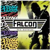 FALCON  - SI BEER AND RIBS
