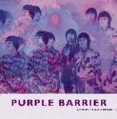 PURPLE BARRIER  - SI SHAPES AND SOUNDS /7