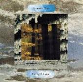  MIDNIGHT ARRIVAL [VINYL] - supershop.sk