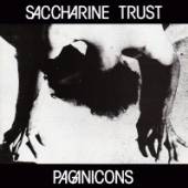 SACCHARINE TRUST  - CD PAGAN ICONS