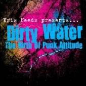 DIRTY WATER: THE BIRTH OF PUNK..  - CD DIRTY WATER: THE ..