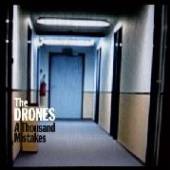 DRONES  - VINYL THOUSAND MISTAKES [VINYL]