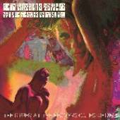 ACID MOTHERS TEMPLE AND THE ME..  - CD THE RIPPER AT THE..