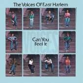 VOICE OF EAST HARLEM  - CD CAN YOU FEEL IT