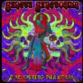  SHINING DARKNESS [VINYL] - supershop.sk