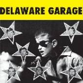 VARIOUS  - VINYL DELAWARE GARAGE [VINYL]