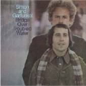  BRIDGE OVER TROUBLED WATER [VINYL] - supershop.sk