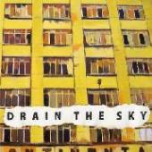 DRAIN THE SKY  - VINYL INTRODUCTION TO THE PAST [VINYL]