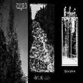 WYRD/HĂ„IVE/KEHRĂ„  - CD SPLIT