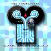 CHAMELEONS  - 2xCD WHAT DOES.. -COLL. ED-