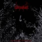 VERZIVATAR  - CD IN THE SHADOW OF SOMBRE CLOUDS