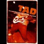 TAD  - DVD BUSTED CIRCUITS & RINGING EARS