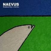 NAEVUS  - CDD RELATIVLY CLOSE TO THE SEA