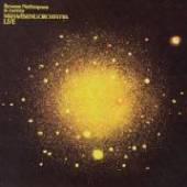 MAHAVISHNU ORCHESTRA  - VINYL BETWEEN NOTHINGNESS &.. [VINYL]