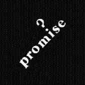 PROMISE  - VINYL PROMISE [VINYL]