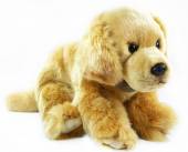  Plyšový pes zlatý retriever, 28 cm - supershop.sk