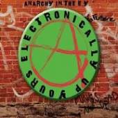 VARIOUS  - CD ANARCHY IN THE E.Y.