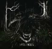 MOLOKEN  - CD WE ALL FACE THE.. -3TR-