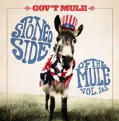 GOV'T MULE  - 2xVINYL STONED SIDE ..