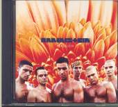 RAMMSTEIN  - CD HERZELEID