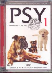 FILM  - DVD PSY 1