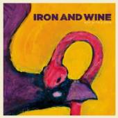 IRON & WINE  - CM BOY WITH A COIN -3TR-