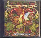 SPYRO GYRA  - CD MORNING DANCE