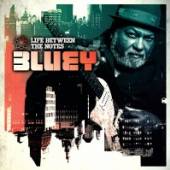 BLUEY  - CD LIFE BETWEEN THE NOTES