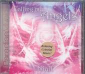 NIALL  - CD CALLING MY ANGELS