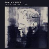 JAMES GAVIN  - CD LIVE AT WHELANS
