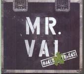 VAI STEVE  - CD NAKED TRACKS -DIGI/LTD-