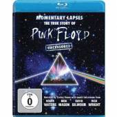  MOMENTARY LAPSES [BLURAY] - supershop.sk